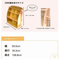 ミッキー棚（DWE）の画像