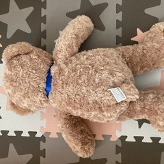 くまぬいぐるみの画像