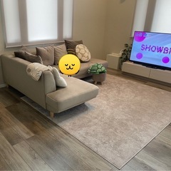 ニトリ カーペット