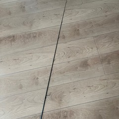 ダイワ　月下美人MX68LS-S
の画像