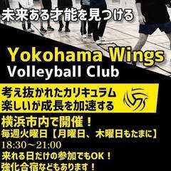 U-14ジュニアバレーボールクラブチーム【Yokohama Wi...