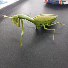 🔶BIGカマキリラジコン