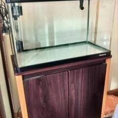60cm水槽台の画像