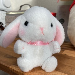 ★決定しました★うさぎさん