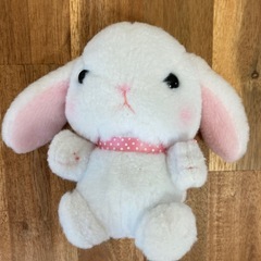★決定しました★うさぎさんの画像