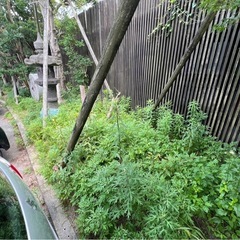 【急募】草刈り作業お手伝い🌱