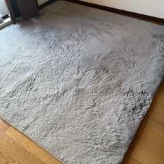 ニトリ カーペット