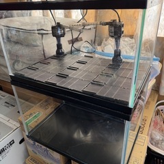 第3弾アクアリウム用品大処分！！の画像