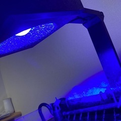 受け渡し調整中。総額37万円相当！水槽フルセット海水魚サンゴ（水槽、照明、プロテインスキマー、クーラー、薬剤、外部フィルター、塩etc）の画像
