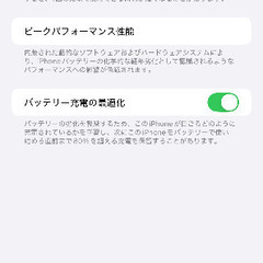 【即購入OK】iPhone 14 ProMax 1TB ディープパープルの画像