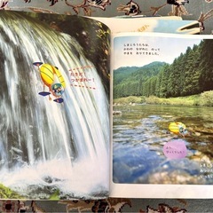 しまじろう絵本新品に近いと使用感あり
　28冊の画像