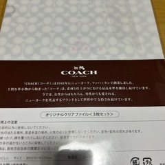 【未使用】オリジナルクリアファイル　A4 合計4枚の画像