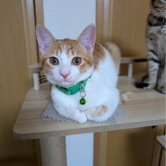 素敵なご家族と出会えました☆おの君
