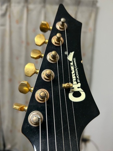 本日限定！Charvel CDS-38 