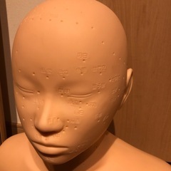 練習用　マネキン　エステ　フェイシャル　ツボの画像