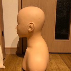 練習用　マネキン　エステ　フェイシャル　ツボの画像