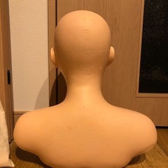 練習用　マネキン　エステ　フェイシャル　ツボの画像