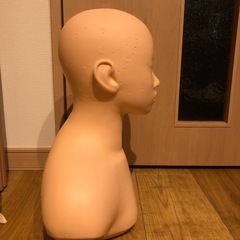練習用　マネキン　エステ　フェイシャル　ツボの画像