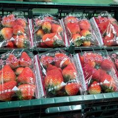 栃木県産 とちあいか 詳細説明文より