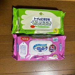 交渉中！大人用おしり拭き72枚入りx2