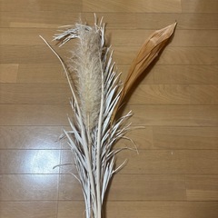 ドライフラワーの画像