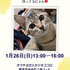 ☆合同ふれあい譲渡会☆