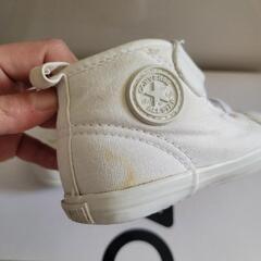 converse　13cmの画像