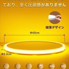 シーリングライトの画像