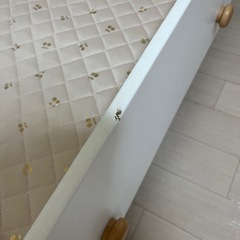 ホップル　キッズベッドの画像