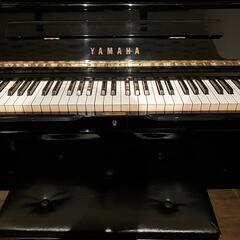 弦楽アンサンブルのピアニストを募集しています🎵