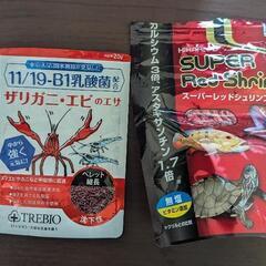 バンパイアクラブ1匹 （熱帯魚、淡水カニ）の画像