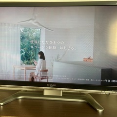 テレビの画像