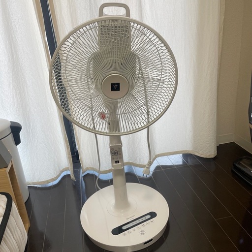 （1月31日まで）扇風機