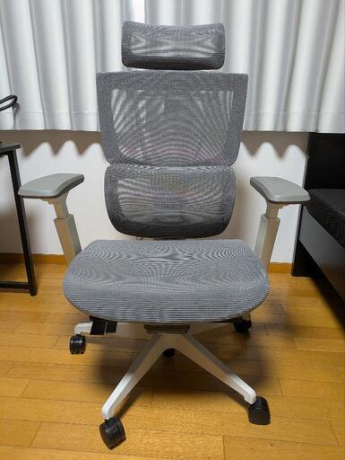 FLEXISPOT オフィスチェア デスクチェア C7　(メッシュ、グレー、オットマンなし)