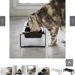 tower/【猫ちゃん用ご飯皿】タワー ペットフードボウルスタンドセット トールの画像