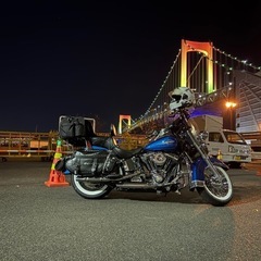 (E,H,L)  Harley-Davidson ツーリング仲間 募集中! - 友達