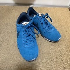 (取引終了しました)NIKEの青のスニーカー　24.5cm