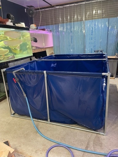 お譲り先決定‼️‼️ 立体養魚池 帆布のいけす 大型養殖用プール 