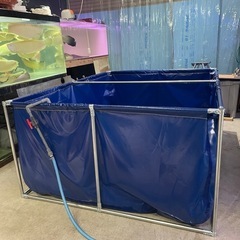 お譲り先決定‼️‼️ 立体養魚池 帆布のいけす 大型養殖用プール の画像