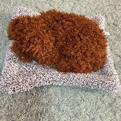 未使用　犬ぬいぐるみ