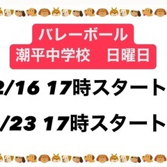 個人参加型バレーボール　ちむドンドン　2月日程 - 糸満市