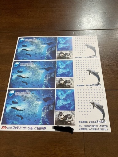 新江ノ島水族館　ご招待券　3枚