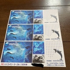 新江ノ島水族館　ご招待券　3枚