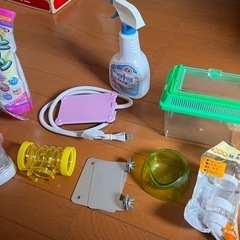 ハムスターセット
