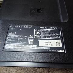 テレビ決まりました はなちゃんありがとうございました
