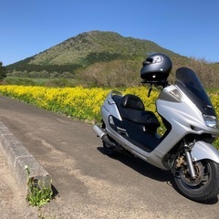 YAMAHA Majesty SV (4HC)250cc