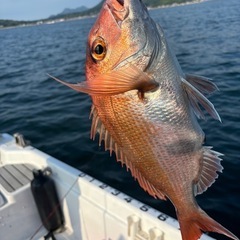 船釣り行きませんかー？