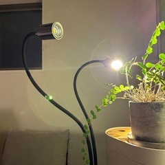 植物育成ライト　間接照明としても　明るさ4段階調整