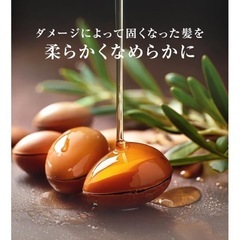 REPAIRM シャンプー トリートメント セット 美容室専売の画像
