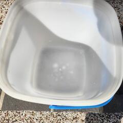 釣りのバケツの画像